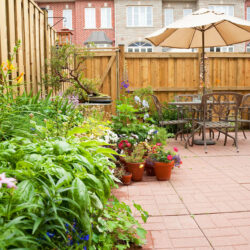 Local Patios experts near Hampshire